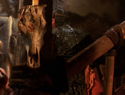 extant_XenaWarriorPrincess_6x10-OldAresHadAFarm_0191