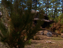 extant_XenaWarriorPrincess_6x10-OldAresHadAFarm_0520