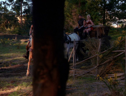 extant_XenaWarriorPrincess_6x10-OldAresHadAFarm_0525