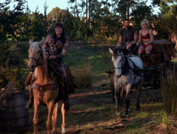 extant_XenaWarriorPrincess_6x10-OldAresHadAFarm_0537