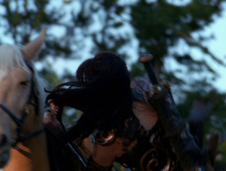 extant_XenaWarriorPrincess_6x10-OldAresHadAFarm_0539