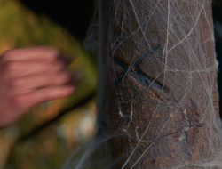 extant_XenaWarriorPrincess_6x10-OldAresHadAFarm_0579