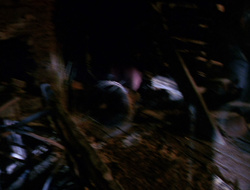 extant_XenaWarriorPrincess_6x10-OldAresHadAFarm_0625