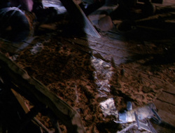 extant_XenaWarriorPrincess_6x10-OldAresHadAFarm_0626