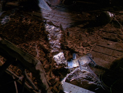 extant_XenaWarriorPrincess_6x10-OldAresHadAFarm_0627