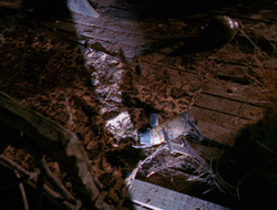 extant_XenaWarriorPrincess_6x10-OldAresHadAFarm_0628