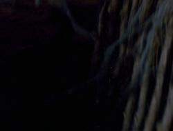extant_XenaWarriorPrincess_6x10-OldAresHadAFarm_0631
