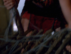 extant_XenaWarriorPrincess_6x10-OldAresHadAFarm_0632
