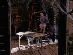 extant_XenaWarriorPrincess_6x10-OldAresHadAFarm_0814
