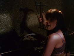extant_XenaWarriorPrincess_6x10-OldAresHadAFarm_0819