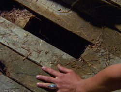 extant_XenaWarriorPrincess_6x10-OldAresHadAFarm_0920