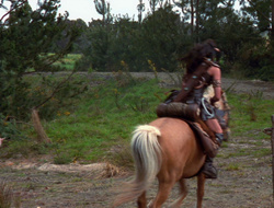 extant_XenaWarriorPrincess_6x10-OldAresHadAFarm_1081