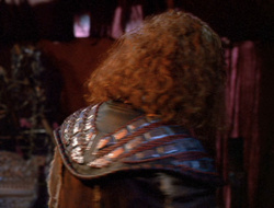 extant_XenaWarriorPrincess_6x10-OldAresHadAFarm_1170