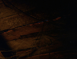 extant_XenaWarriorPrincess_6x10-OldAresHadAFarm_1413