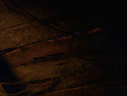 extant_XenaWarriorPrincess_6x10-OldAresHadAFarm_1414