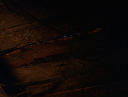 extant_XenaWarriorPrincess_6x10-OldAresHadAFarm_1416