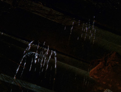 extant_XenaWarriorPrincess_6x10-OldAresHadAFarm_1447