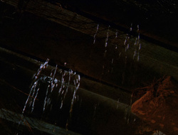 extant_XenaWarriorPrincess_6x10-OldAresHadAFarm_1448