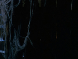 extant_XenaWarriorPrincess_6x10-OldAresHadAFarm_1475