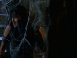extant_XenaWarriorPrincess_6x10-OldAresHadAFarm_1476