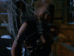 extant_XenaWarriorPrincess_6x10-OldAresHadAFarm_1478