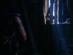 extant_XenaWarriorPrincess_6x10-OldAresHadAFarm_1486