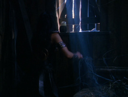 extant_XenaWarriorPrincess_6x10-OldAresHadAFarm_1489