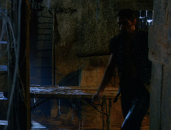 extant_XenaWarriorPrincess_6x10-OldAresHadAFarm_1491