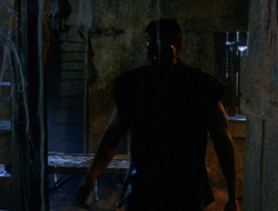 extant_XenaWarriorPrincess_6x10-OldAresHadAFarm_1493
