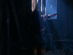 extant_XenaWarriorPrincess_6x10-OldAresHadAFarm_1497