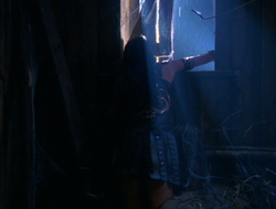 extant_XenaWarriorPrincess_6x10-OldAresHadAFarm_1498