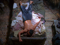 extant_XenaWarriorPrincess_6x10-OldAresHadAFarm_1662