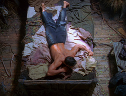 extant_XenaWarriorPrincess_6x10-OldAresHadAFarm_1663