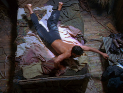 extant_XenaWarriorPrincess_6x10-OldAresHadAFarm_1664