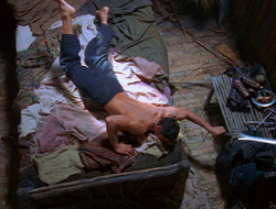 extant_XenaWarriorPrincess_6x10-OldAresHadAFarm_1665