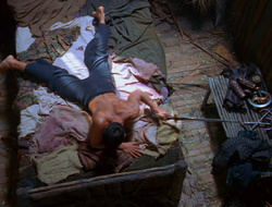 extant_XenaWarriorPrincess_6x10-OldAresHadAFarm_1666