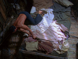 extant_XenaWarriorPrincess_6x10-OldAresHadAFarm_1669
