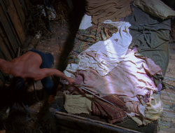 extant_XenaWarriorPrincess_6x10-OldAresHadAFarm_1670