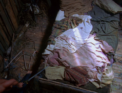 extant_XenaWarriorPrincess_6x10-OldAresHadAFarm_1671