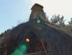 extant_XenaWarriorPrincess_6x10-OldAresHadAFarm_1672