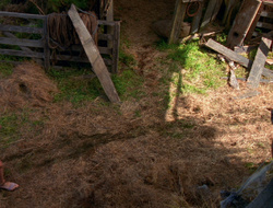 extant_XenaWarriorPrincess_6x10-OldAresHadAFarm_1675