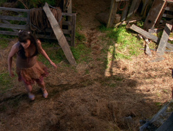 extant_XenaWarriorPrincess_6x10-OldAresHadAFarm_1676