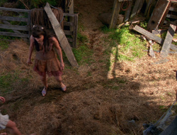 extant_XenaWarriorPrincess_6x10-OldAresHadAFarm_1677
