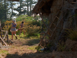 extant_XenaWarriorPrincess_6x10-OldAresHadAFarm_1694