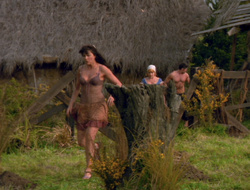 extant_XenaWarriorPrincess_6x10-OldAresHadAFarm_1714