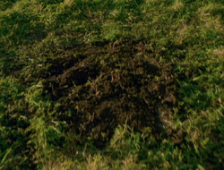 extant_XenaWarriorPrincess_6x10-OldAresHadAFarm_1718