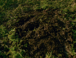 extant_XenaWarriorPrincess_6x10-OldAresHadAFarm_1719