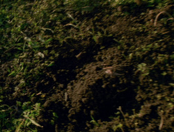 extant_XenaWarriorPrincess_6x10-OldAresHadAFarm_1721