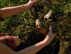 extant_XenaWarriorPrincess_6x10-OldAresHadAFarm_1728