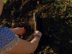 extant_XenaWarriorPrincess_6x10-OldAresHadAFarm_1735